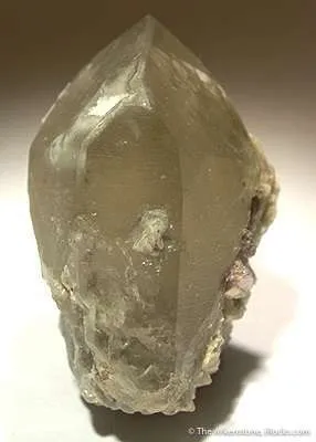 Tourmaline in Quartz (Ex. Scripps) - image 2