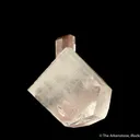 Tourmaline in Topaz (rare combination) - image 4