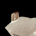Tourmaline in Topaz (rare combination) - image 3