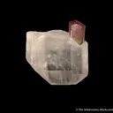 Tourmaline in Topaz (rare combination) - image 1