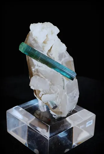 specimen video