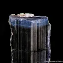 Tourmaline (Indicolite) with Lepidolite - image 1