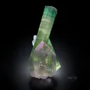 Tourmaline & Kunzite - image 1