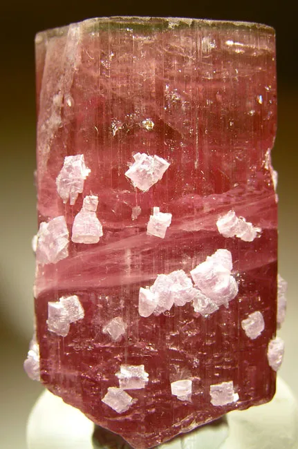 Tourmaline, Lepidolite image