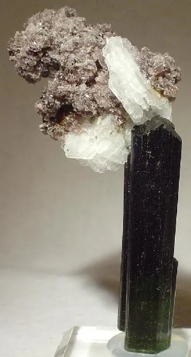 Tourmaline, Lepidolite, Albite (Var: Cleavelandite) image