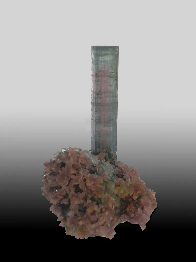 Tourmaline lépidolite , Brésil image