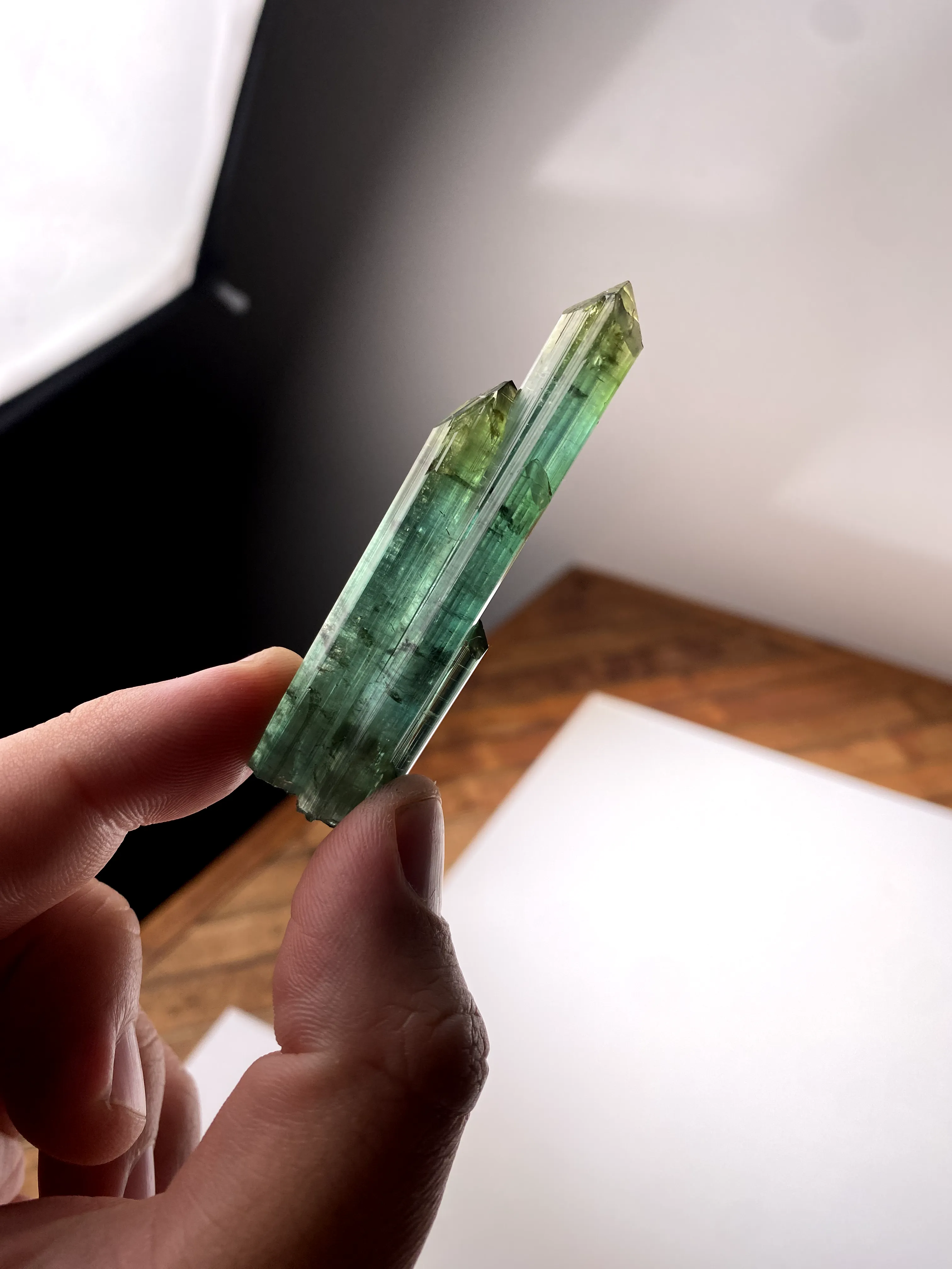 Tourmaline (Live Show) - image 1