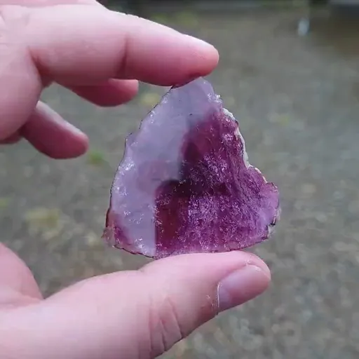 specimen video