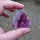 specimen video