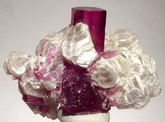 Tourmaline, Muscovite image