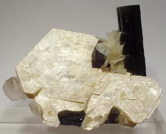 Tourmaline, Muscovite, Albite (Var: Cleavelandite), Quartz image