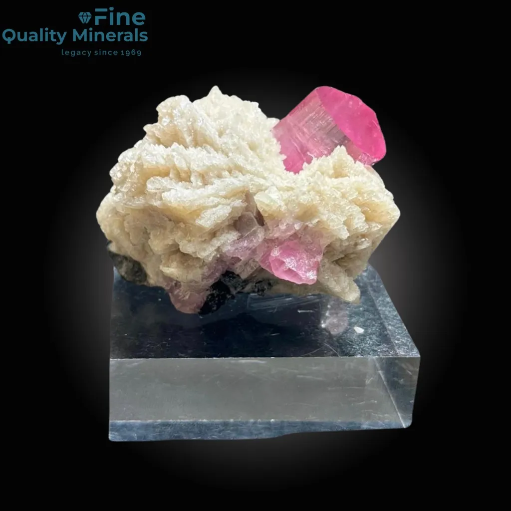 Tourmaline on Albite image