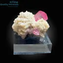 Tourmaline on Albite - image 1