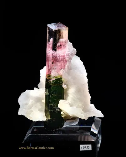 Tourmaline on Albite image
