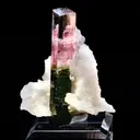 Tourmaline on Albite - image 1