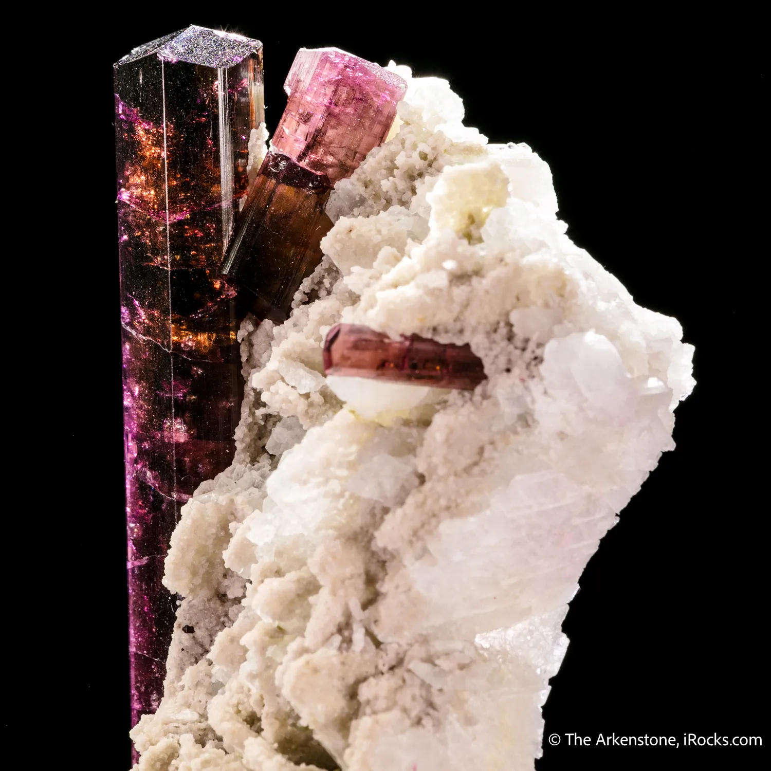 Tourmaline on Albite - image 5
