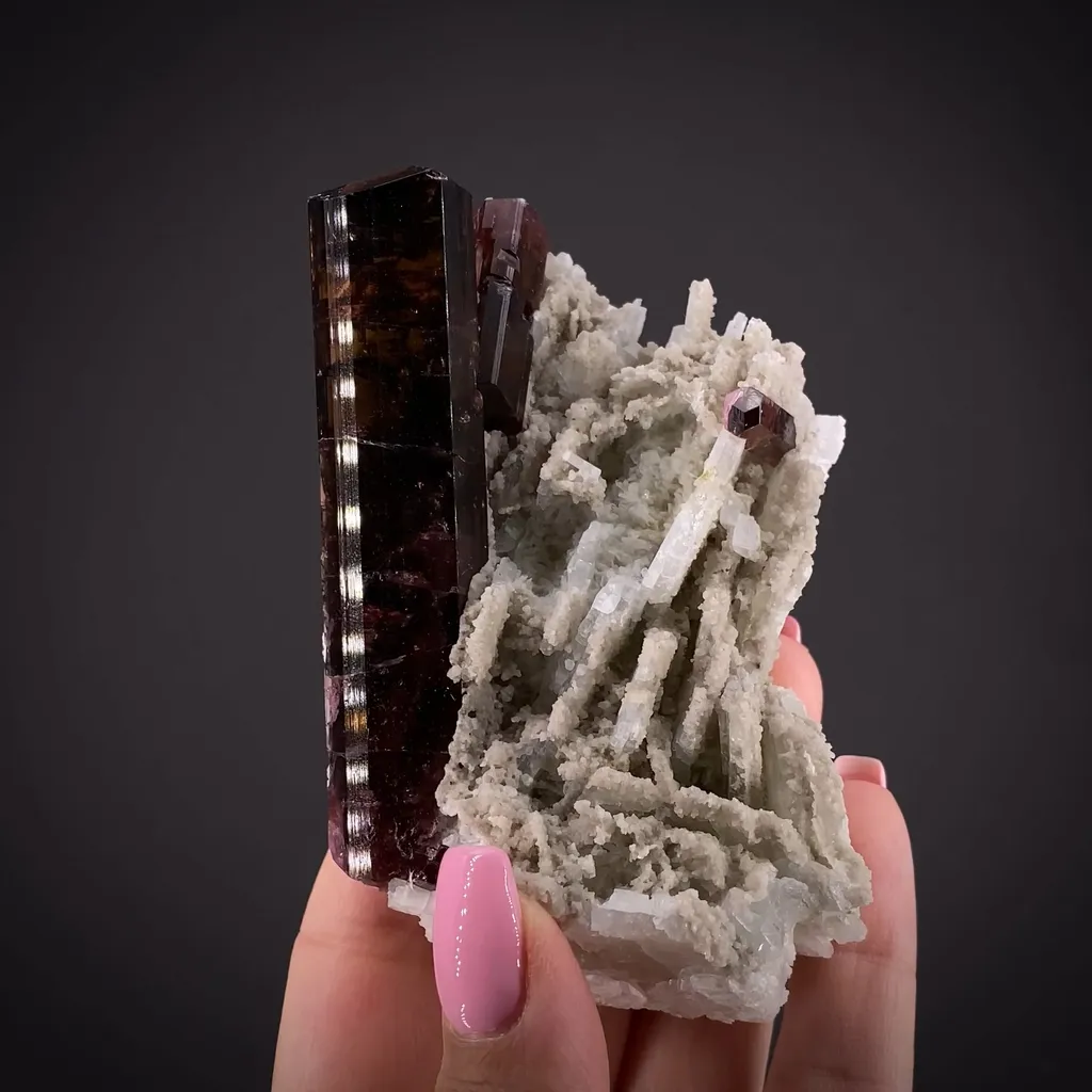 Tourmaline on Albite - image 2