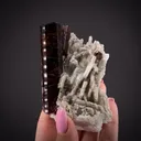 Tourmaline on Albite - image 2