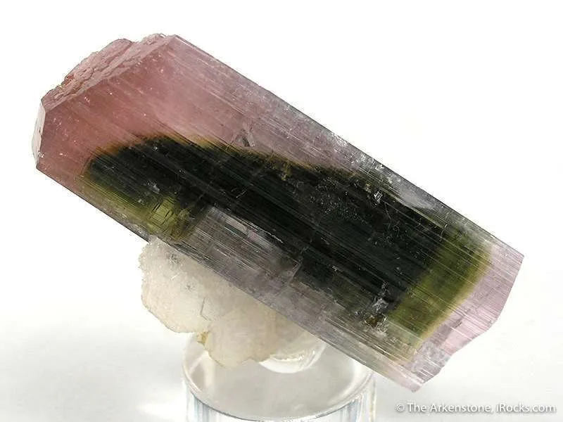 Tourmaline on Albite image