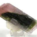 Tourmaline on Albite - image 1