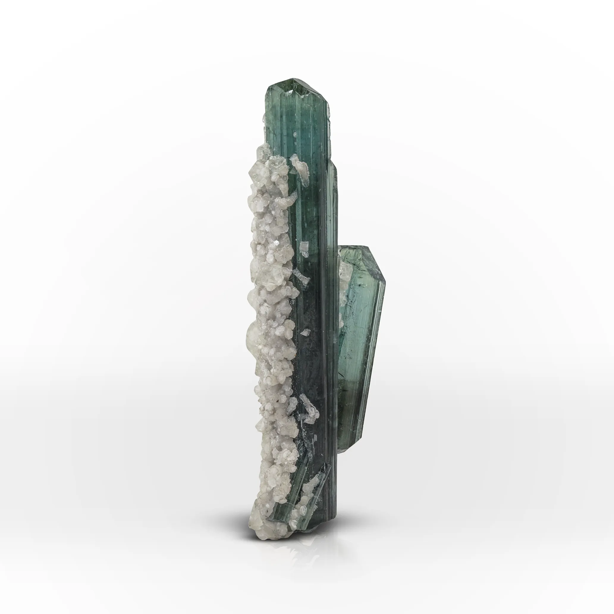 Tourmaline on Albite - image 1
