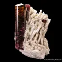 Tourmaline on Albite - image 4