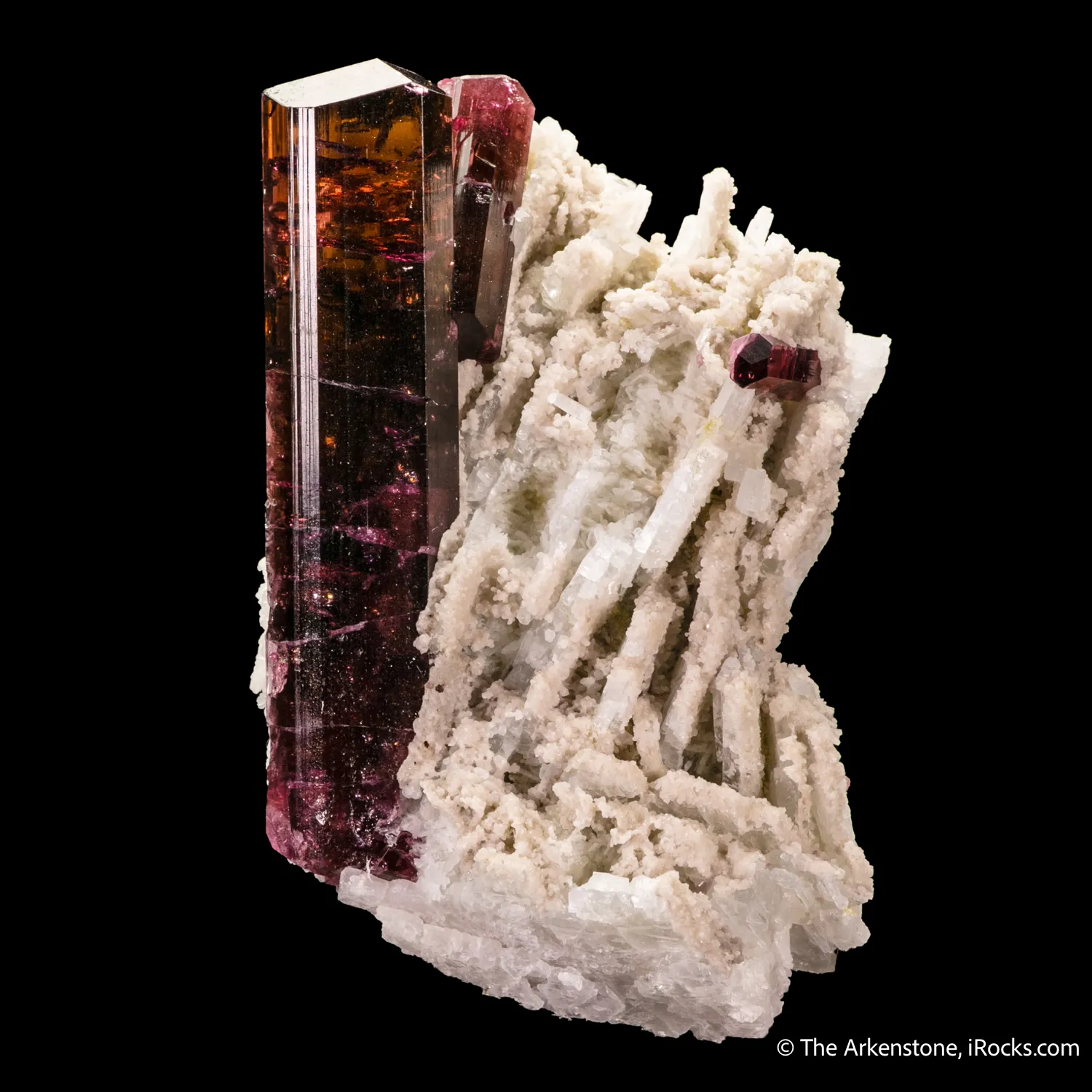 Tourmaline on Albite - image 4