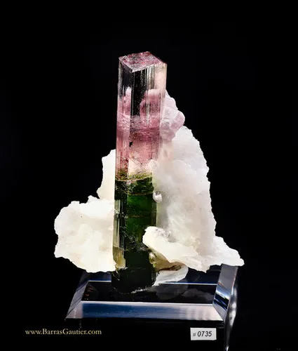 Tourmaline on Albite - image 2