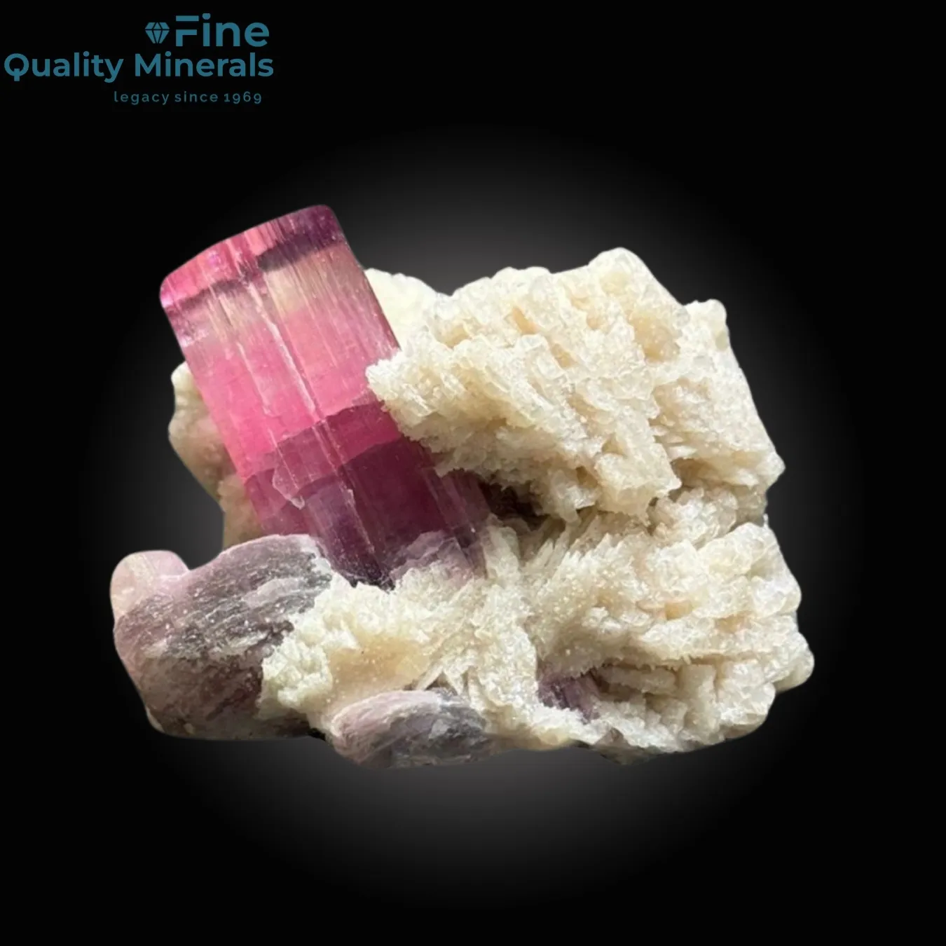 Tourmaline on Albite - image 3