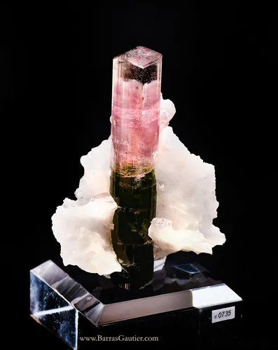 Tourmaline on Albite - image 3