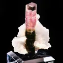 Tourmaline on Albite - image 3