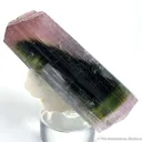 Tourmaline on Albite - image 2