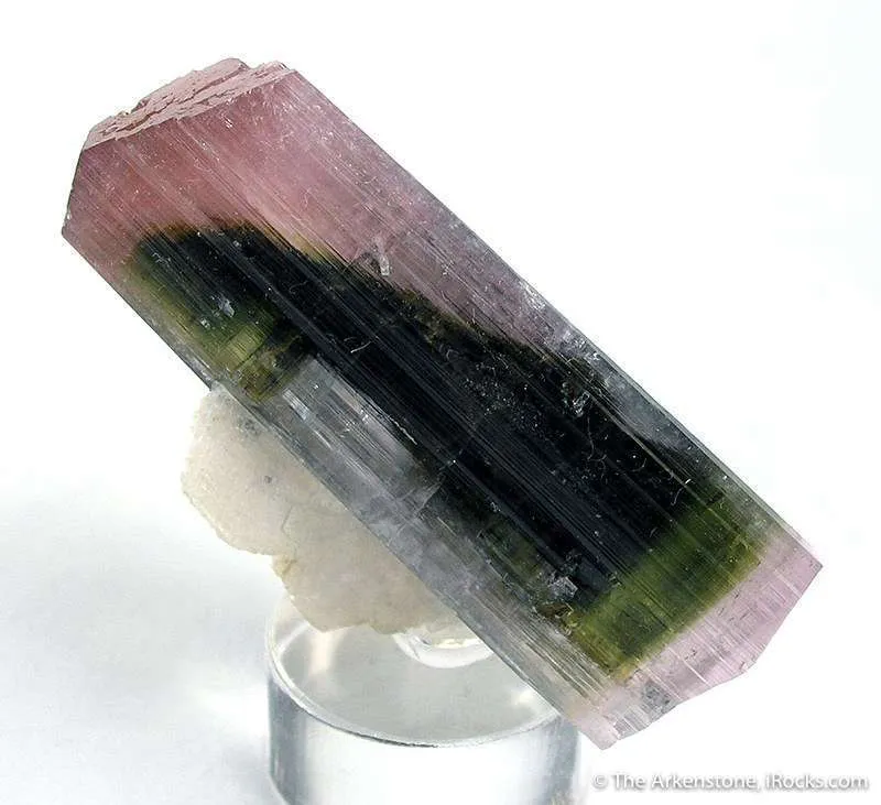 Tourmaline on Albite - image 2