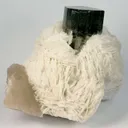 Tourmaline on Albite - image 2