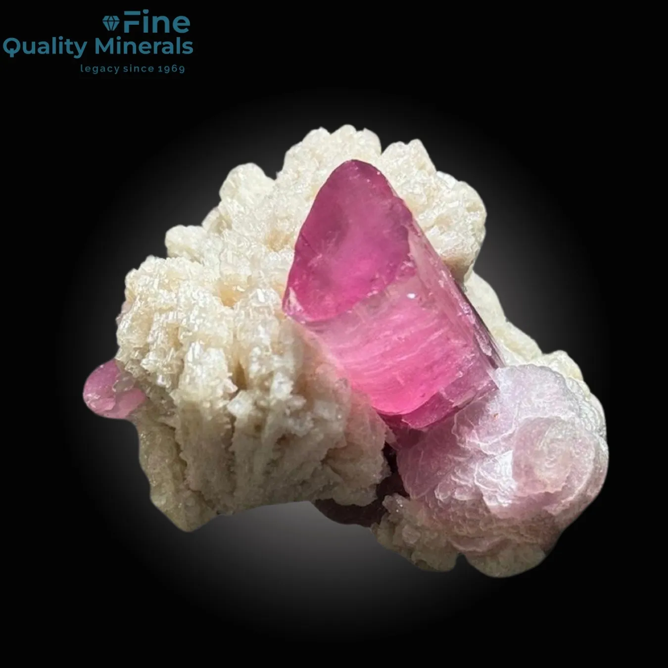 Tourmaline on Albite - image 2