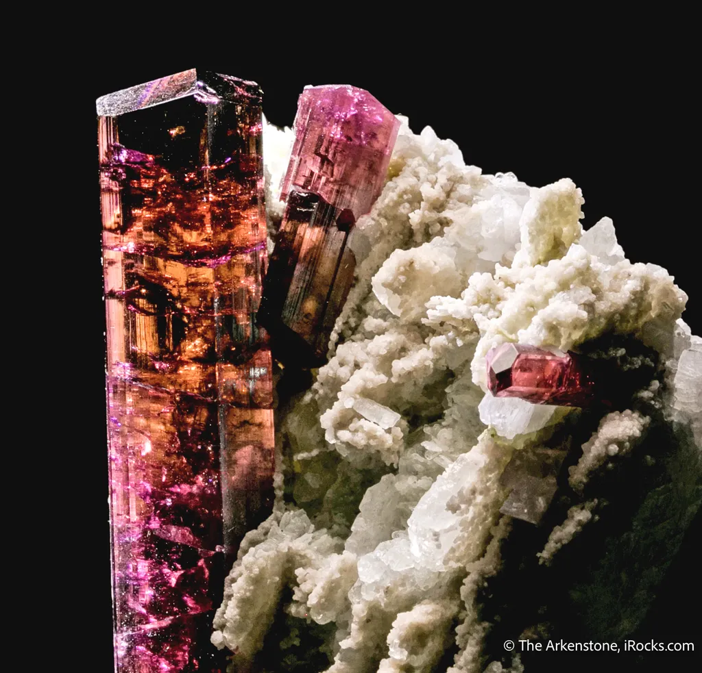 Tourmaline on Albite image