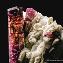Tourmaline on Albite - image 1