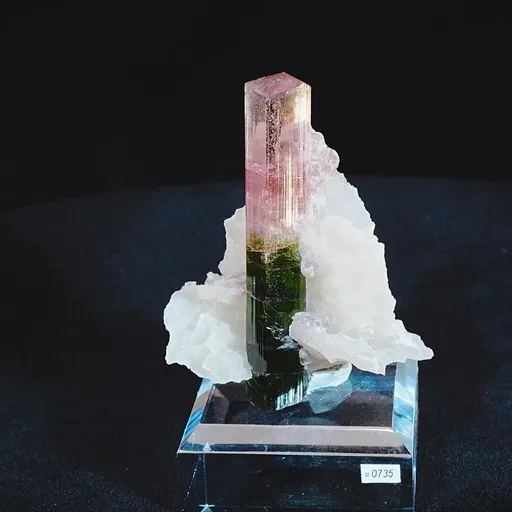 specimen video