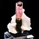 Tourmaline on Albite - image 3