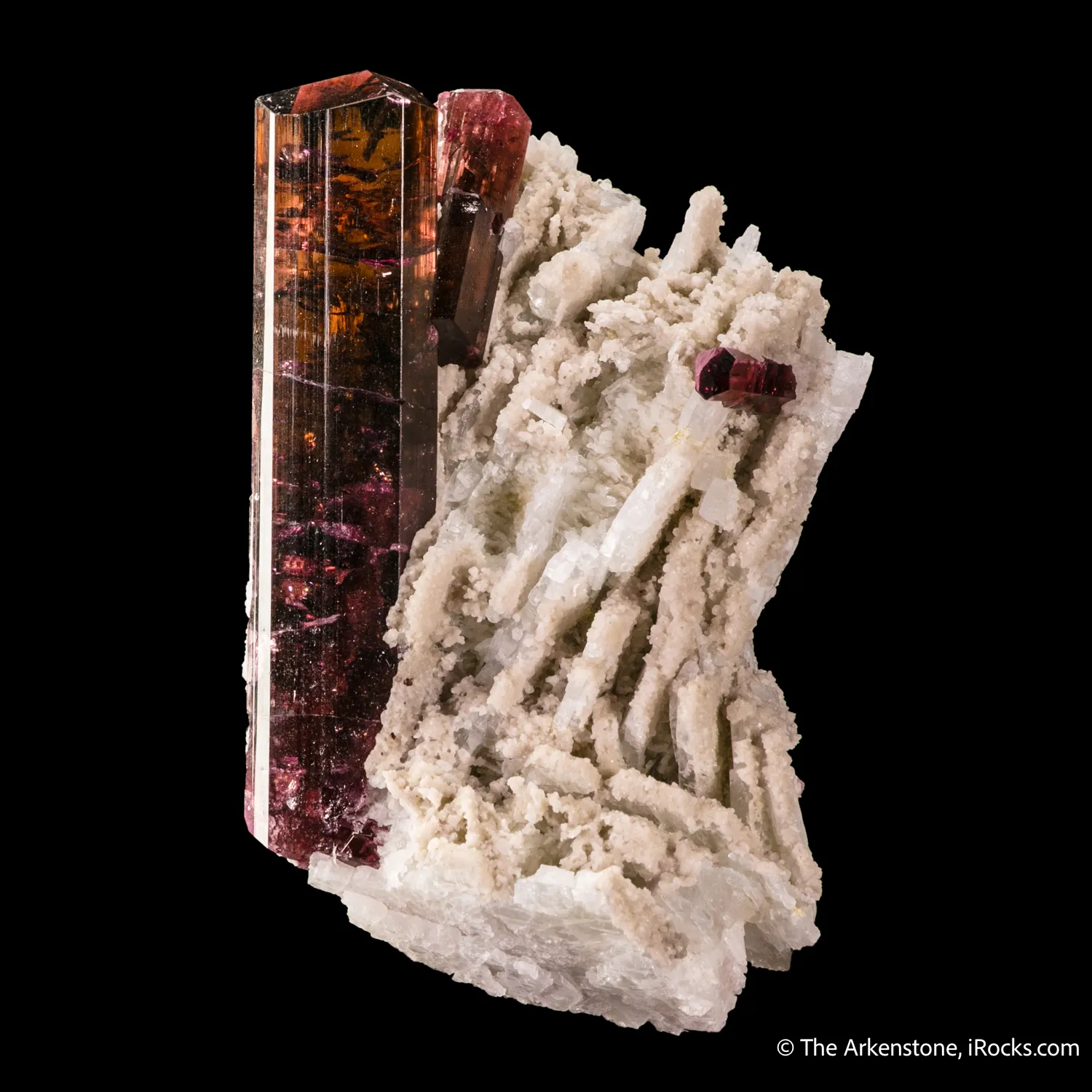 Tourmaline on Albite - image 6