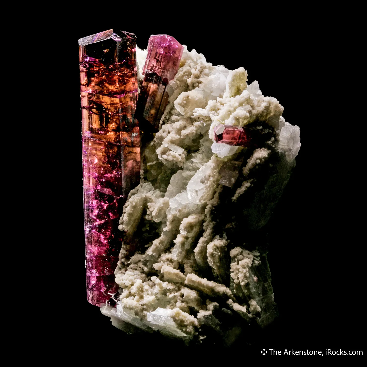 Tourmaline on Albite - image 7