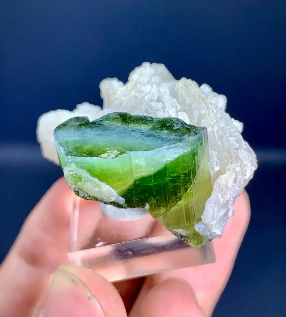 Tourmaline on Albite from Afghanistan - image 4