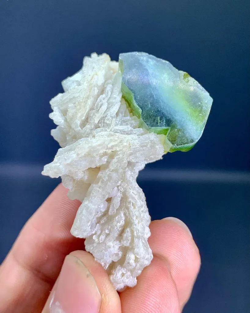 Tourmaline on Albite from Afghanistan - image 6