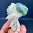 Tourmaline on Albite from Afghanistan - image 6