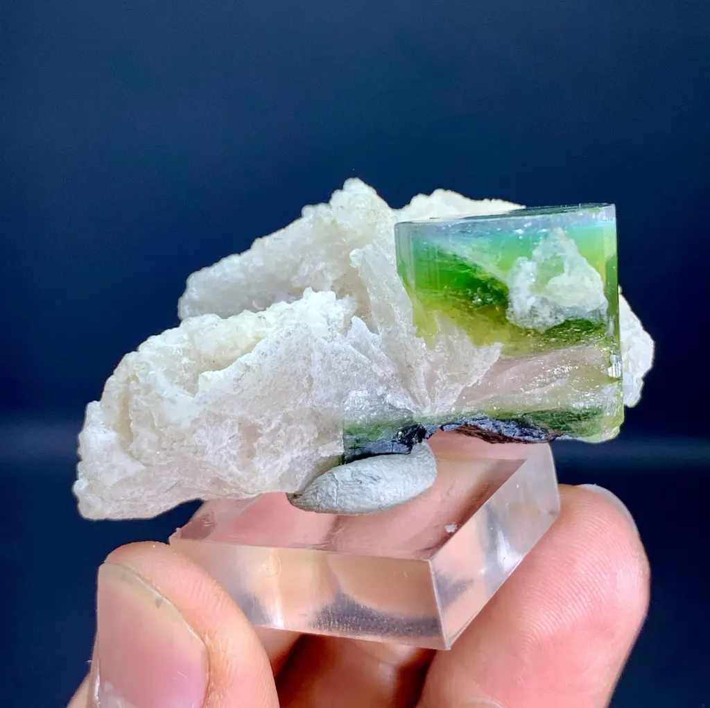 Tourmaline on Albite from Afghanistan - image 7