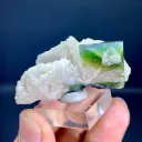 Tourmaline on Albite from Afghanistan - image 7