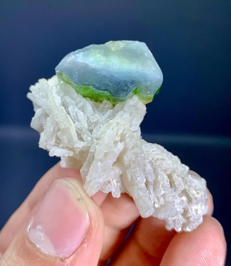 Tourmaline on Albite from Afghanistan - image 5