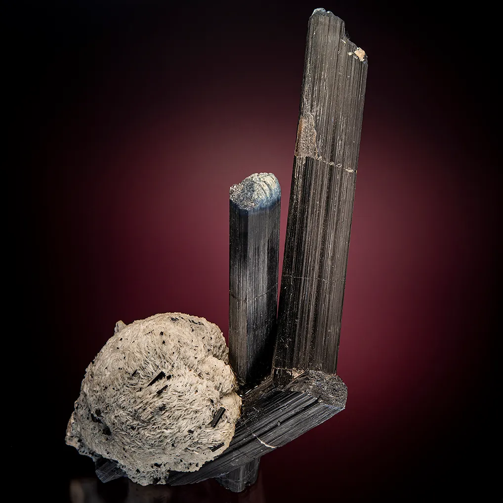 Tourmaline on Albite var. Cleavelandite image