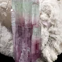 Tourmaline on Albite With Quartz - image 3