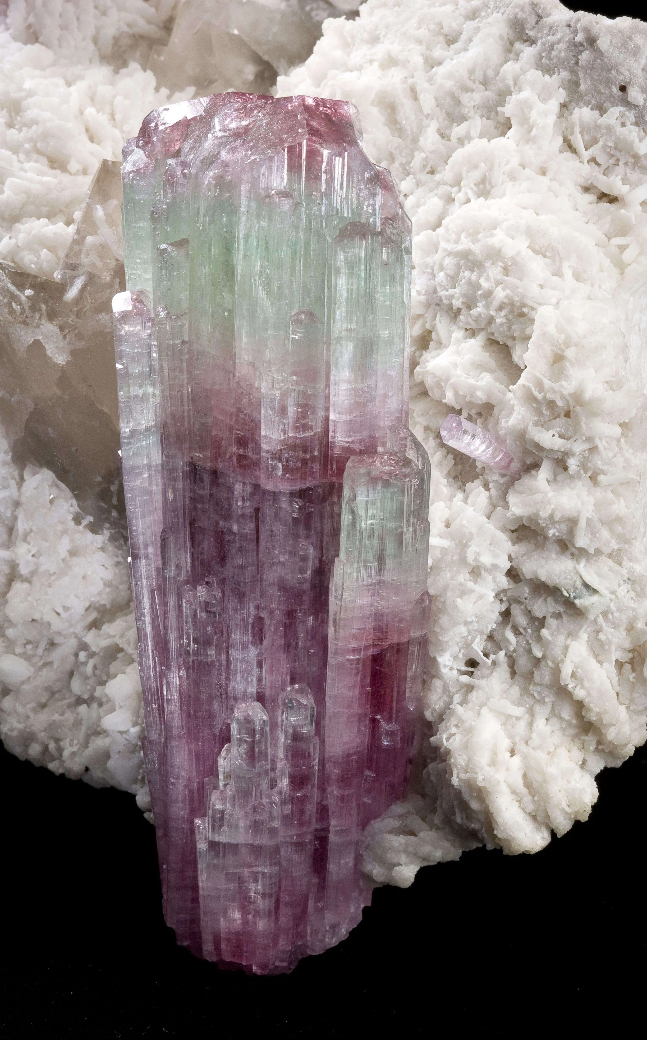 Tourmaline on Albite With Quartz - image 3